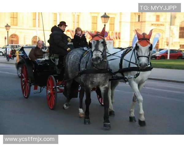 奥地利与匈牙利的较量结果揭晓谁是胜者分析与回顾