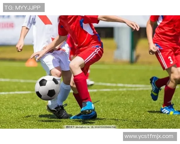 体育培训机构章程的制定与实施对促进青少年体育发展的重要性分析